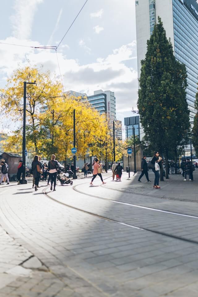 fraser-cottrell-AVFuXhYxFh0-unsplash